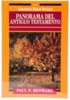 Panorama del Antiguo Testamento