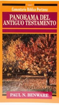 Panorama del Antiguo Testamento