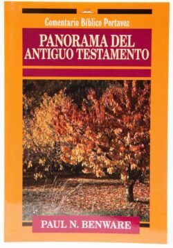 Panorama del Antiguo Testamento