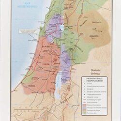 Biblia de estudio Scofield RVR 1960 - Imagen 5