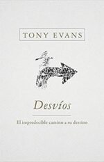 Desvíos/Detours: Un impredecible camino hacia su destino (Spanish Edition)