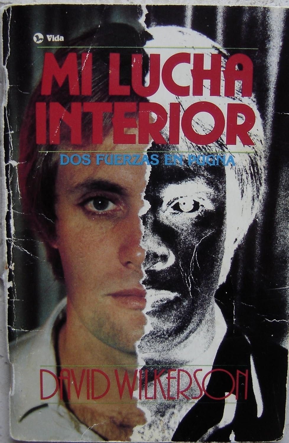 Mi Lucha Interior