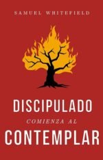 Discipulado Comienza al Contemplar
