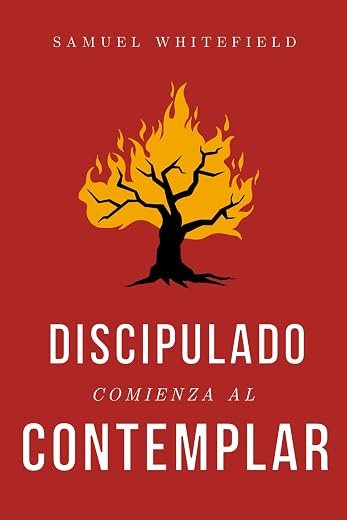 Discipulado Comienza al Contemplar